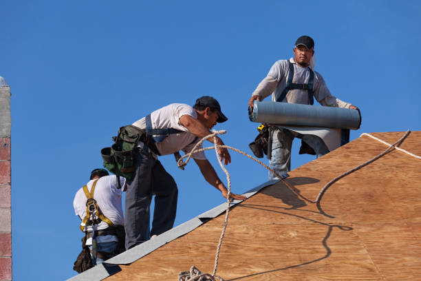 Best Roof Repair Services  in Cusseta, GA